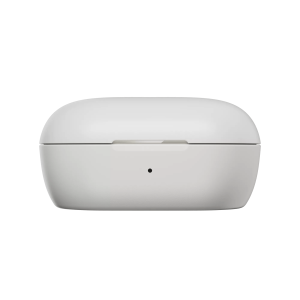 Bose QuietComfort Earbuds Charging Case