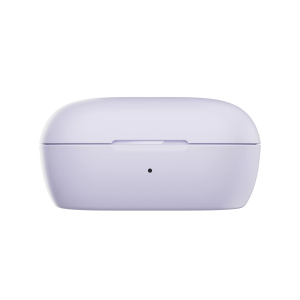 Bose QuietComfort Earbuds Charging Case